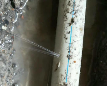 瑞丽卫生间测漏水多少钱