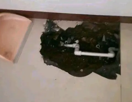 瑞丽卫生间测漏水多少钱